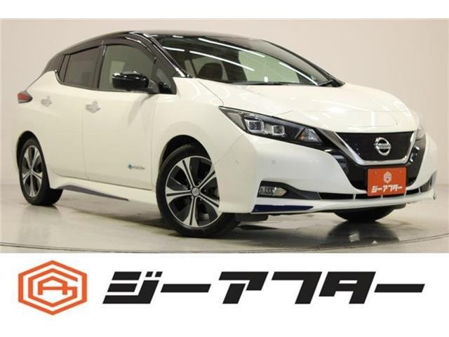 2017 Nissan Leaf