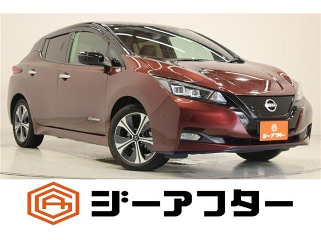 2021 Nissan Leaf