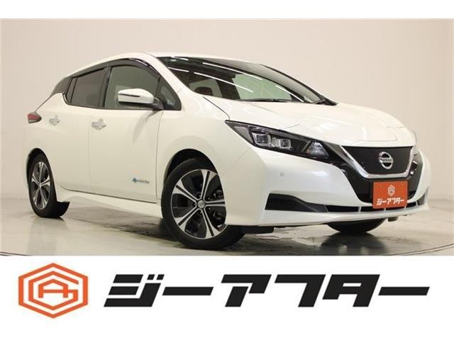2018 Nissan Leaf