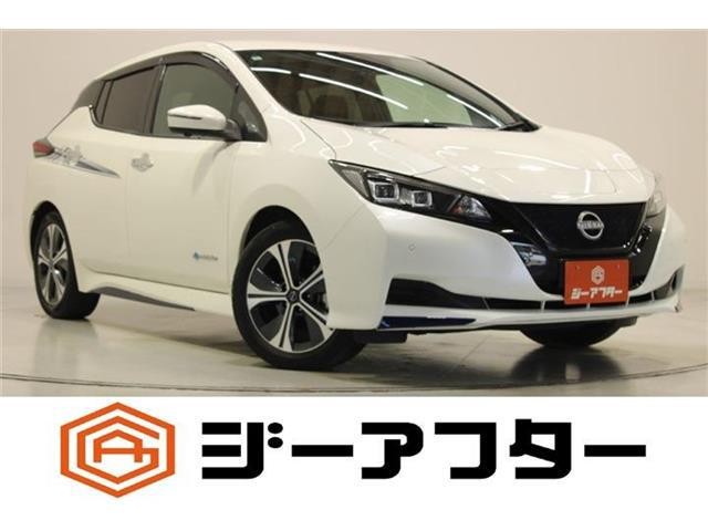 2022 Nissan Leaf