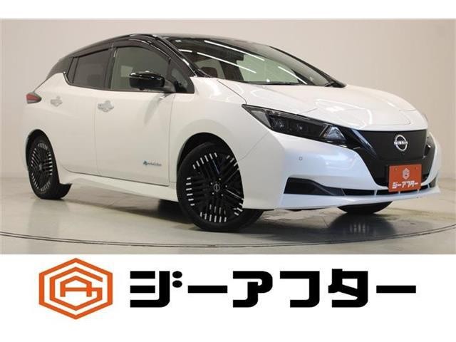2022 Nissan Leaf