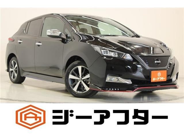 2019 Nissan Leaf