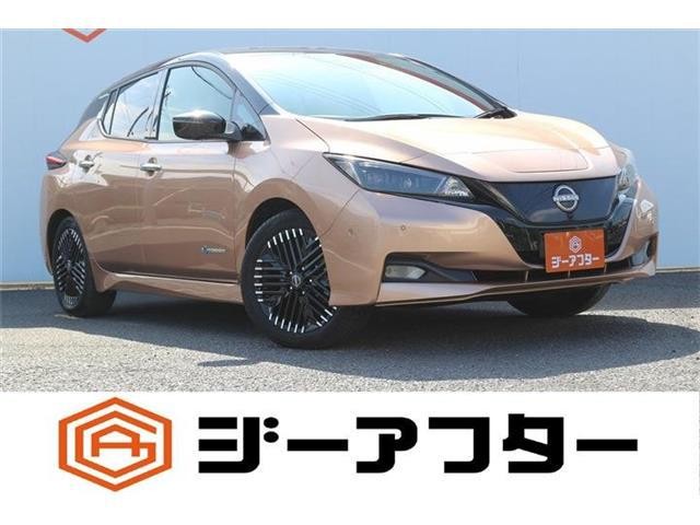 2022 Nissan Leaf