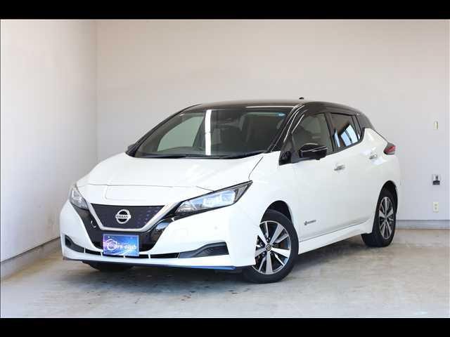 2020 Nissan Leaf
