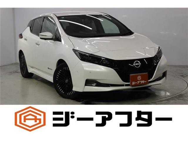 2022 Nissan Leaf