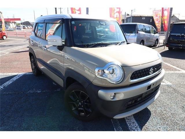 2019 Suzuki X BEE