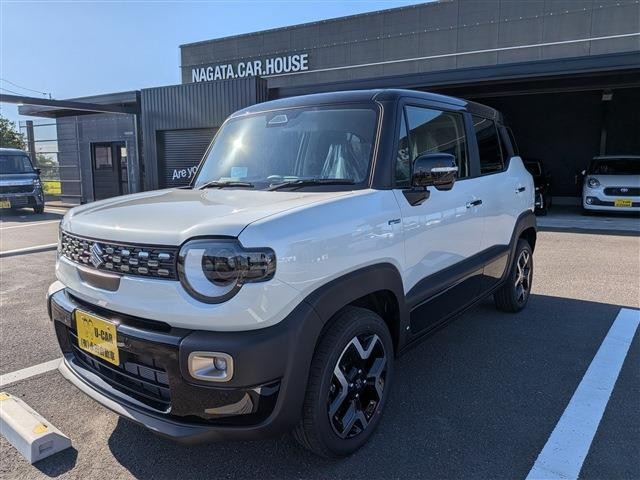 Suzuki X BEE