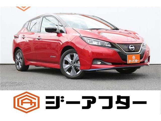 2021 Nissan Leaf
