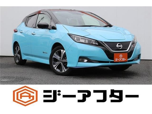 2019 Nissan Leaf