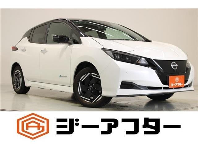 2024 Nissan Leaf