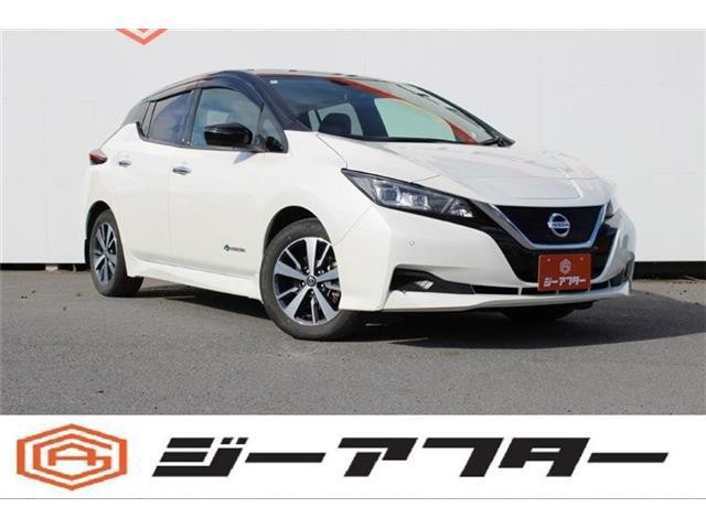 2020 Nissan Leaf