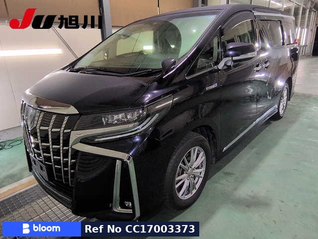 2019 Toyota Alphard