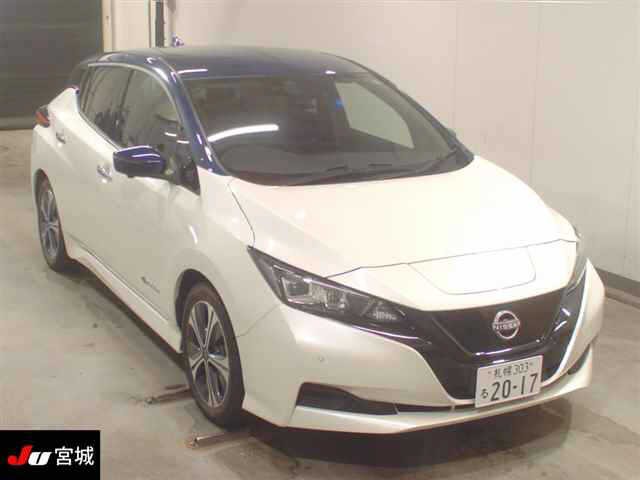 2021 Nissan Leaf
