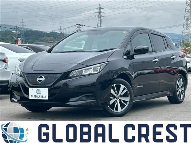 2021 Nissan Leaf