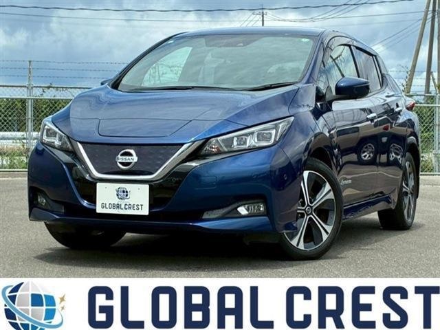 2019 Nissan Leaf