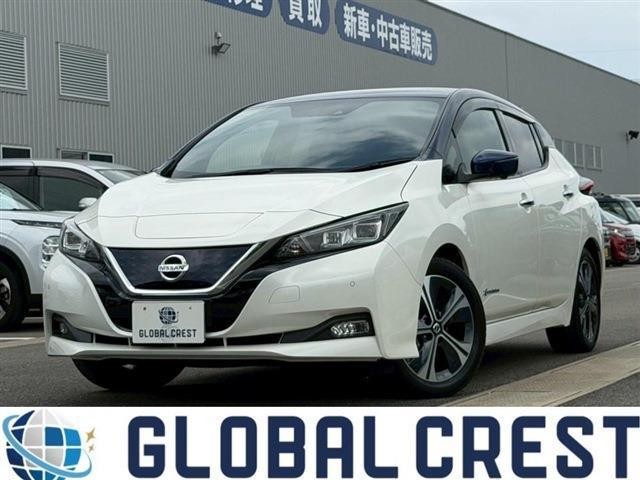 2020 Nissan Leaf