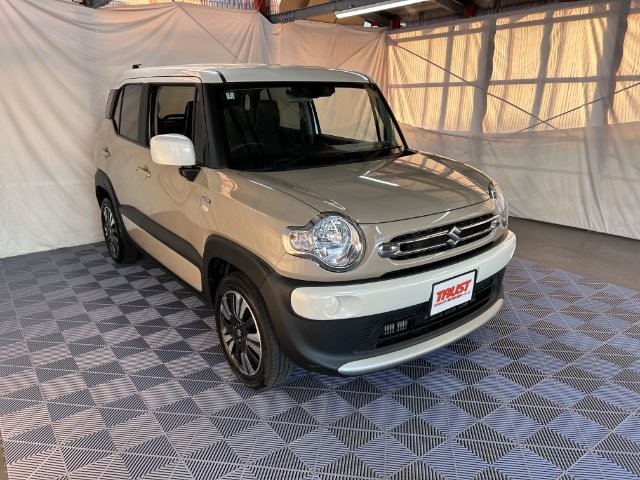 Suzuki X BEE
