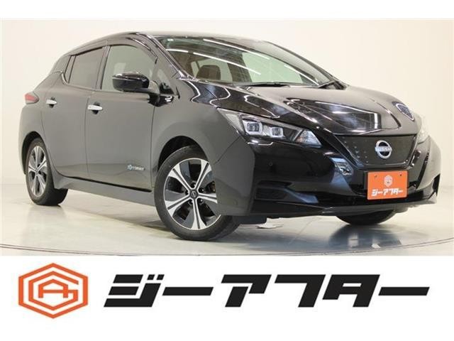 2022 Nissan Leaf