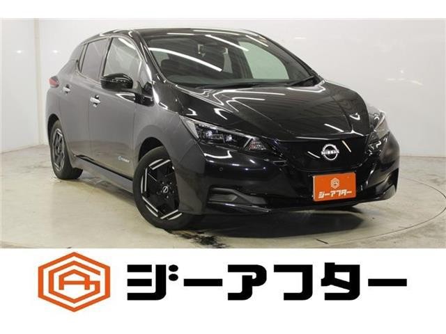 2022 Nissan Leaf