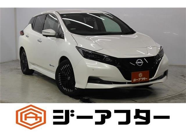 2022 Nissan Leaf