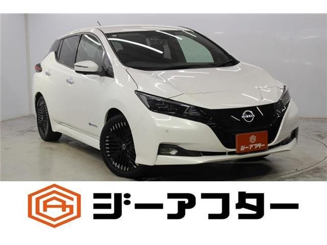 2022 Nissan Leaf