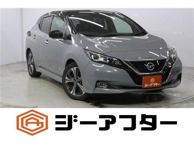 2020 Nissan Leaf