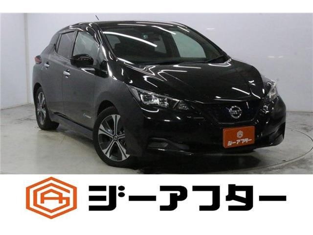 2019 Nissan Leaf