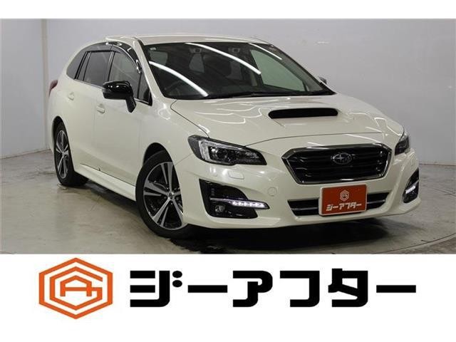 2019 Subaru Levorg