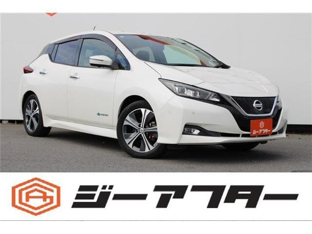 2018 Nissan Leaf