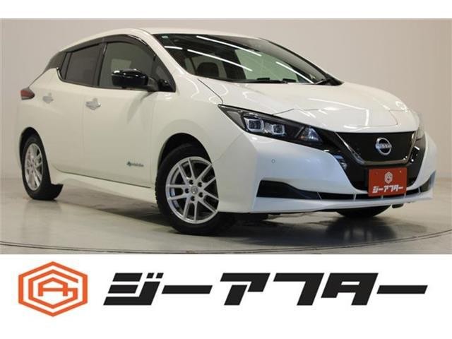 2021 Nissan Leaf