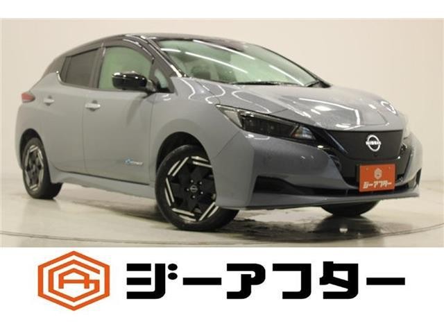 2022 Nissan Leaf