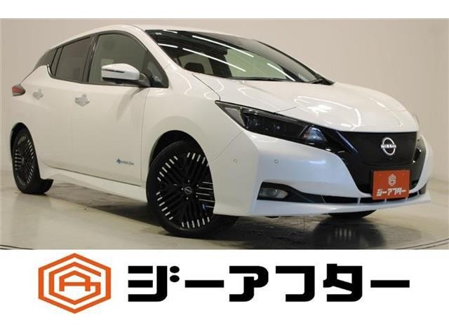 2022 Nissan Leaf