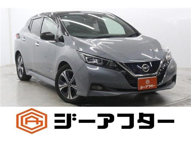 2020 Nissan Leaf