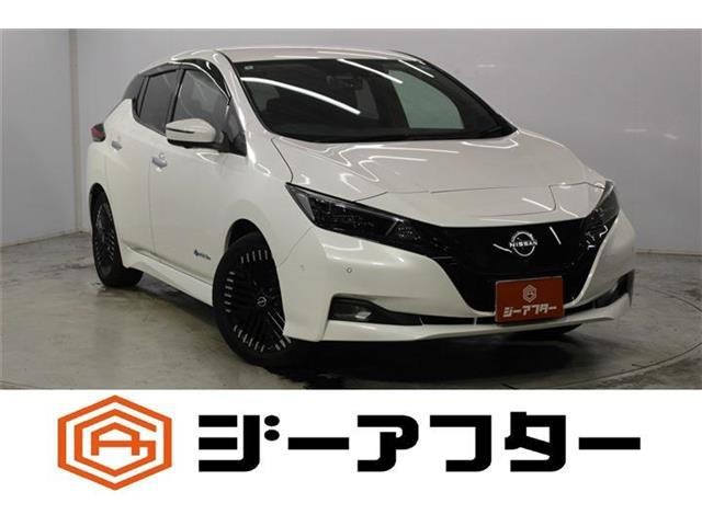 2022 Nissan Leaf