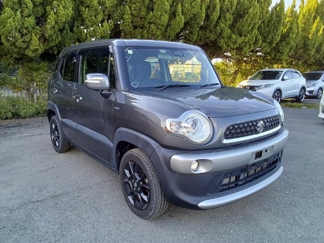2019 Suzuki X BEE