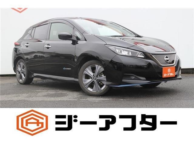 2021 Nissan Leaf
