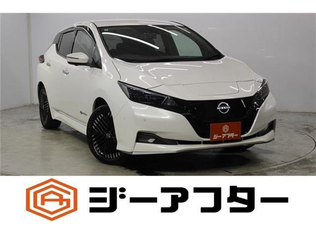 2022 Nissan Leaf