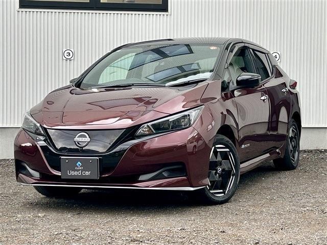 2022 Nissan Leaf