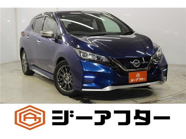 2019 Nissan Leaf