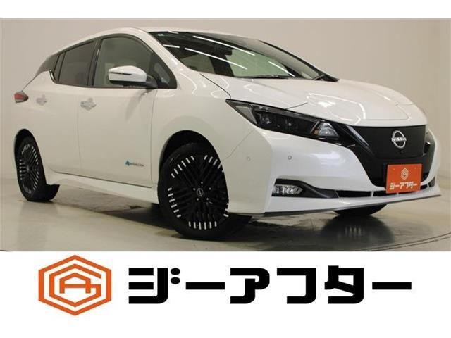 2022 Nissan Leaf