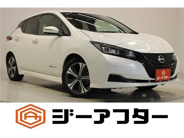 2021 Nissan Leaf