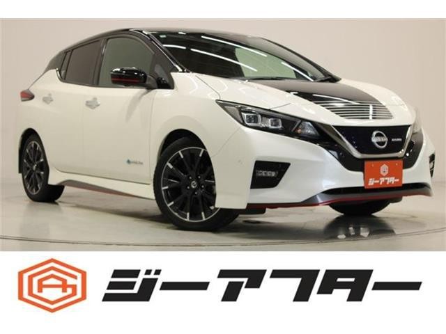 2020 Nissan Leaf