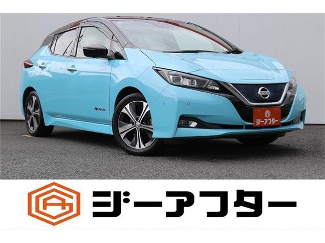 2018 Nissan Leaf