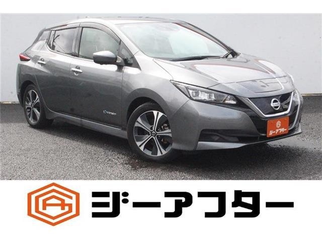 2020 Nissan Leaf