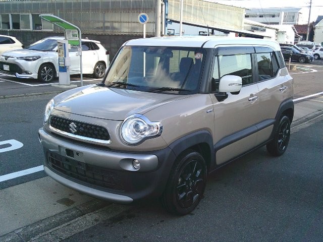 2021 Suzuki X BEE