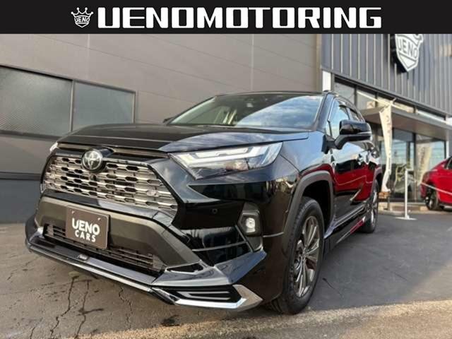 Toyota RAV4 HV
