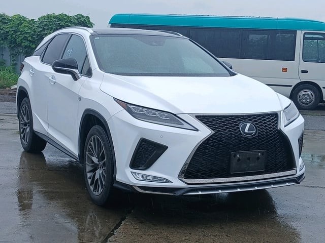 2019 Lexus RX