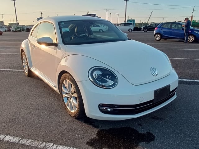 2012 Volkswagen THE Beetle