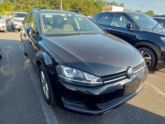 2014 Volkswagen Golf Variant