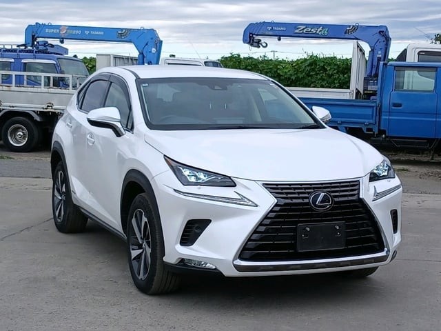 2018 Lexus NX300H